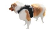 Rechargeable Pocket GPS GSM Tracking Collars for Hunting Dogs Realtime Size:S